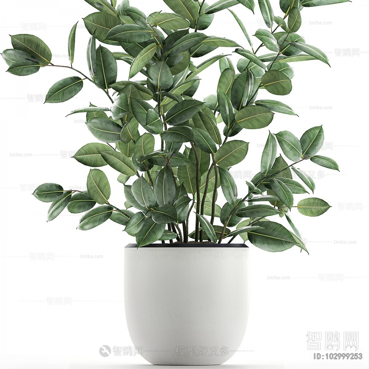 Modern Potted Green Plant