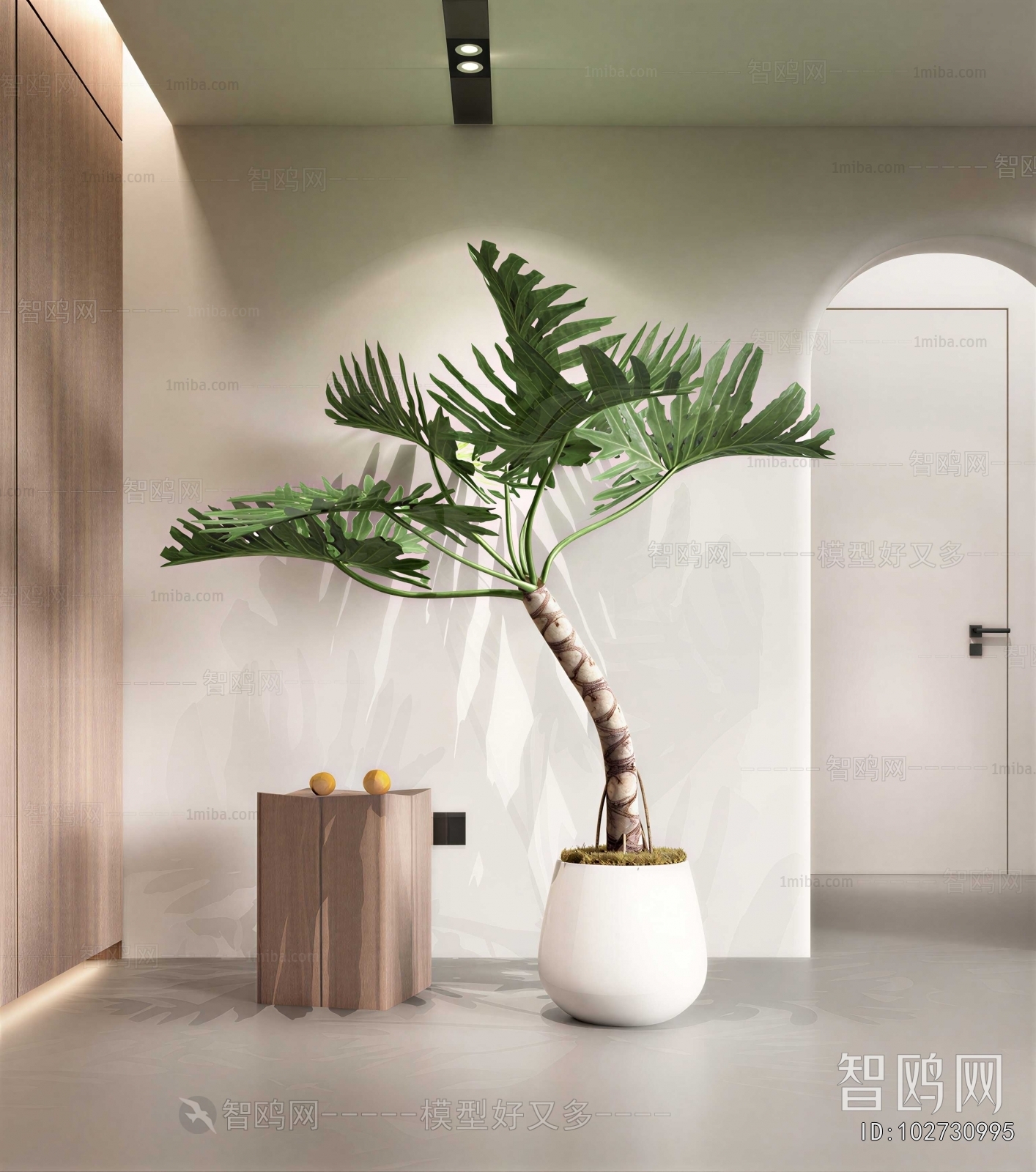Modern Potted Green Plant
