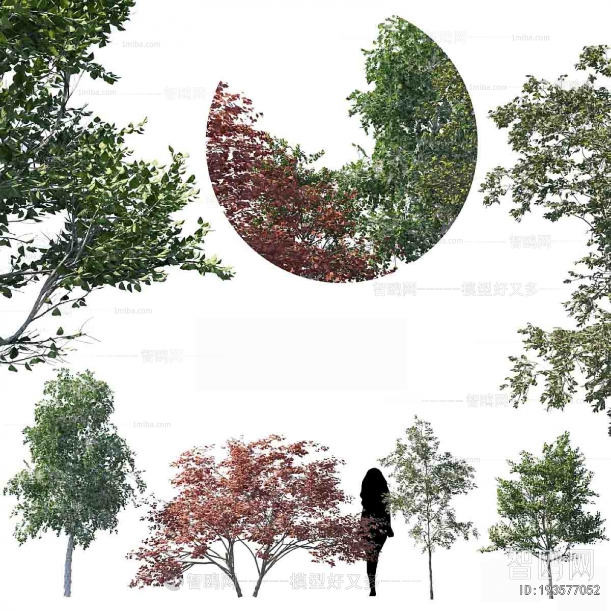 Modern Tree