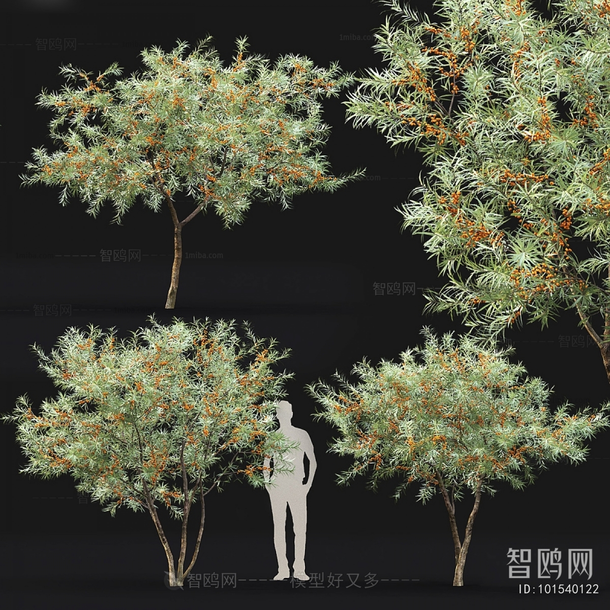 Modern Tree