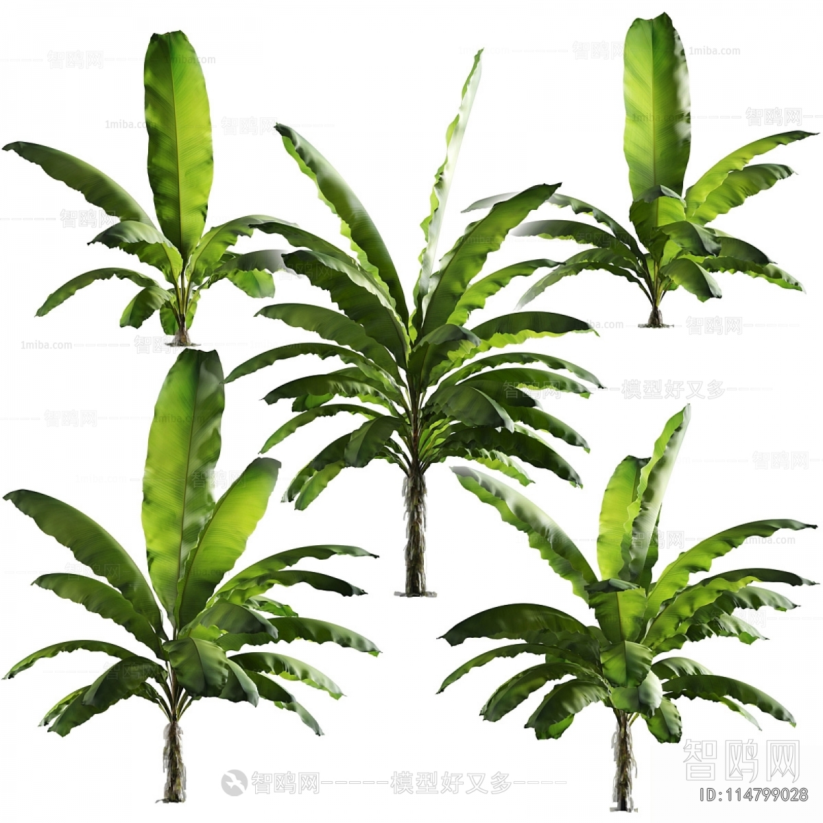 Modern Tree