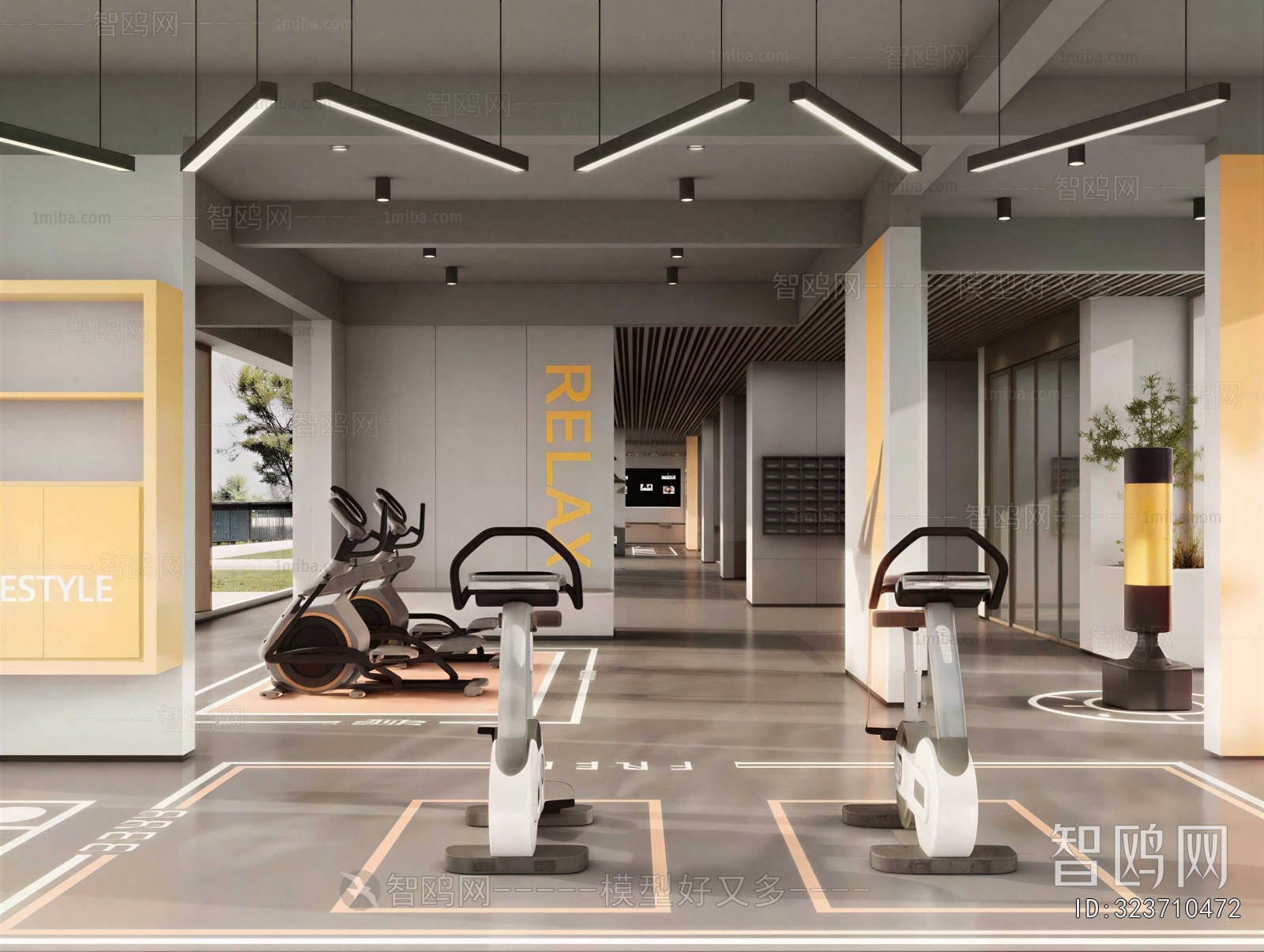 Modern Gym