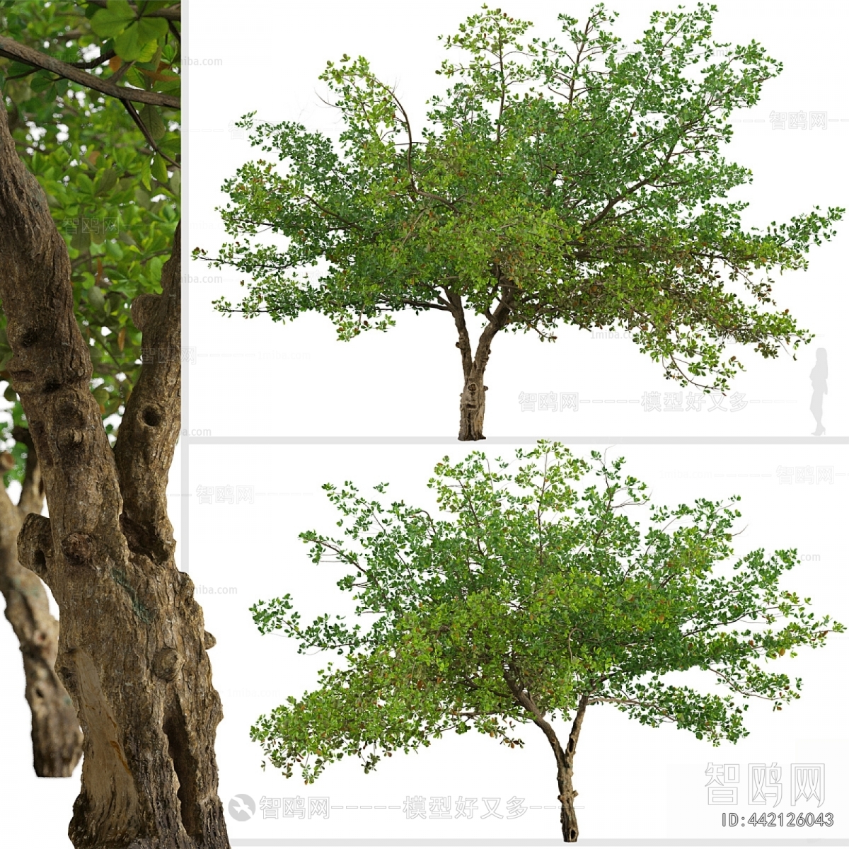 Modern Tree