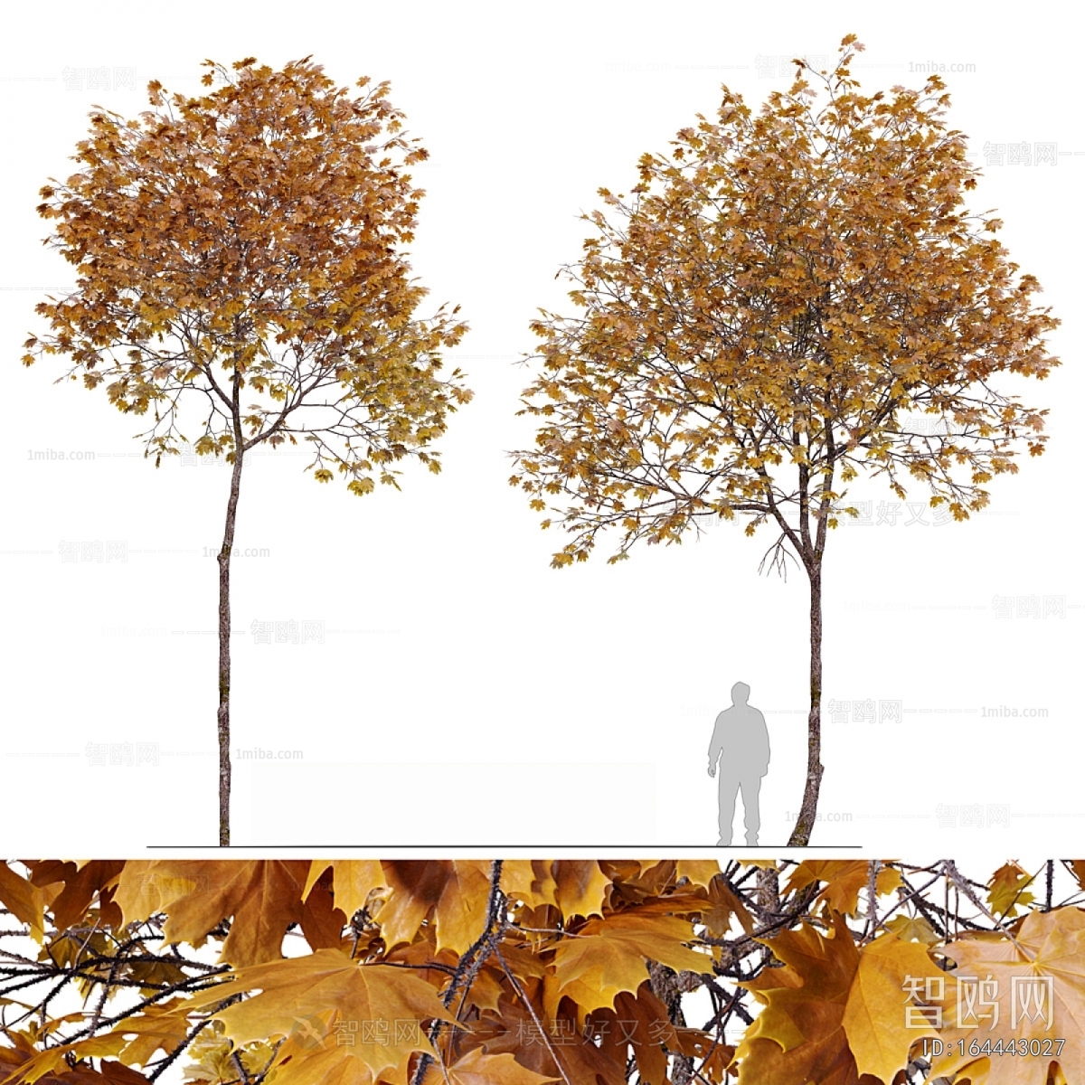 Modern Tree
