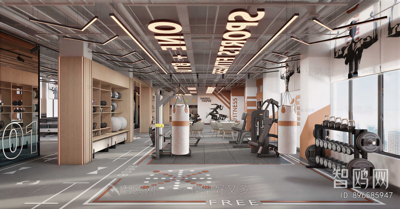Modern Gym