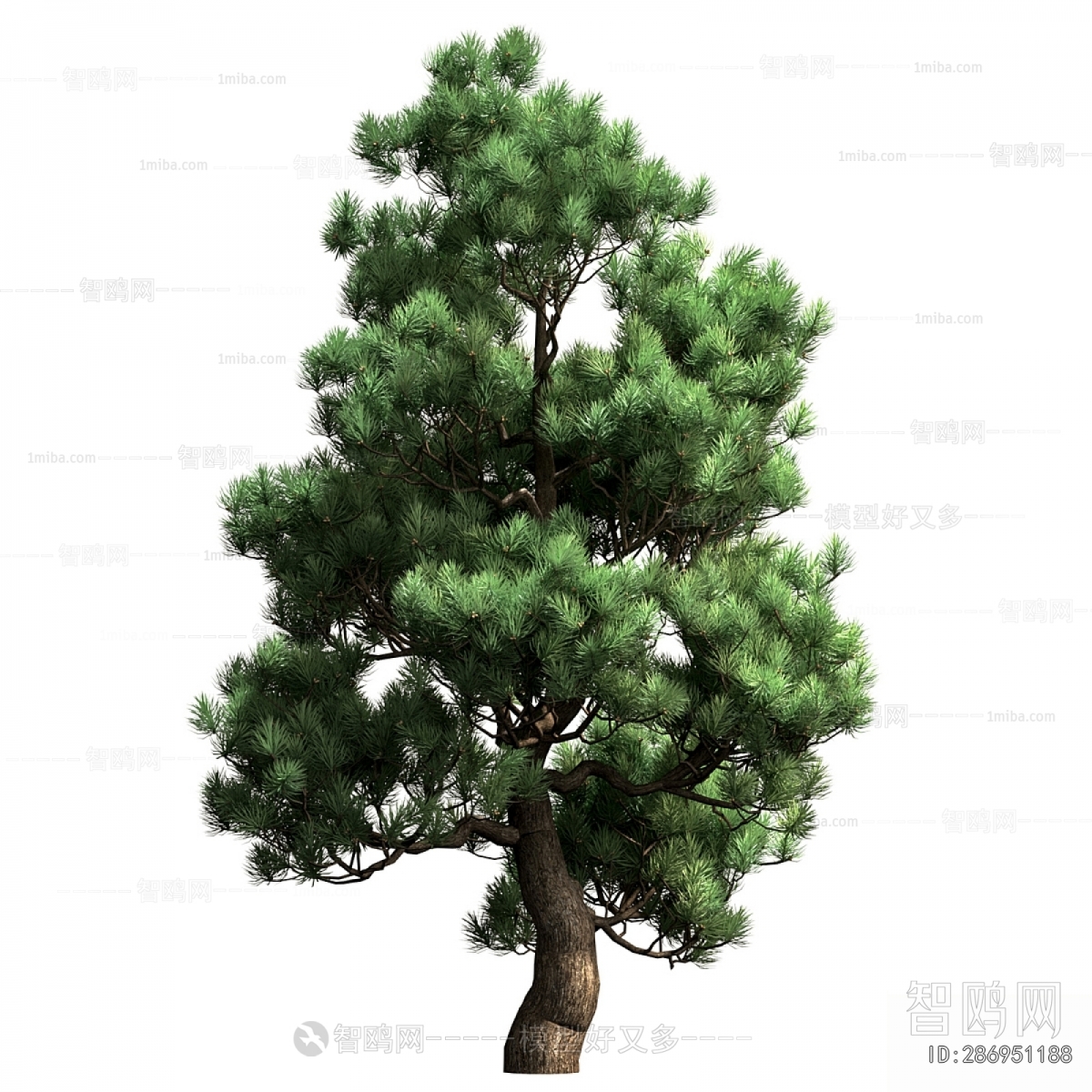 Modern Tree