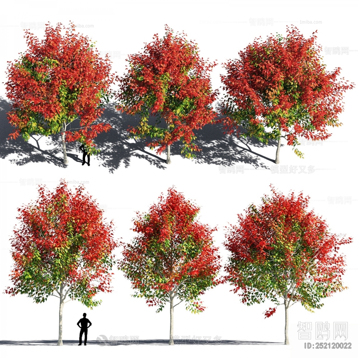 Modern Tree