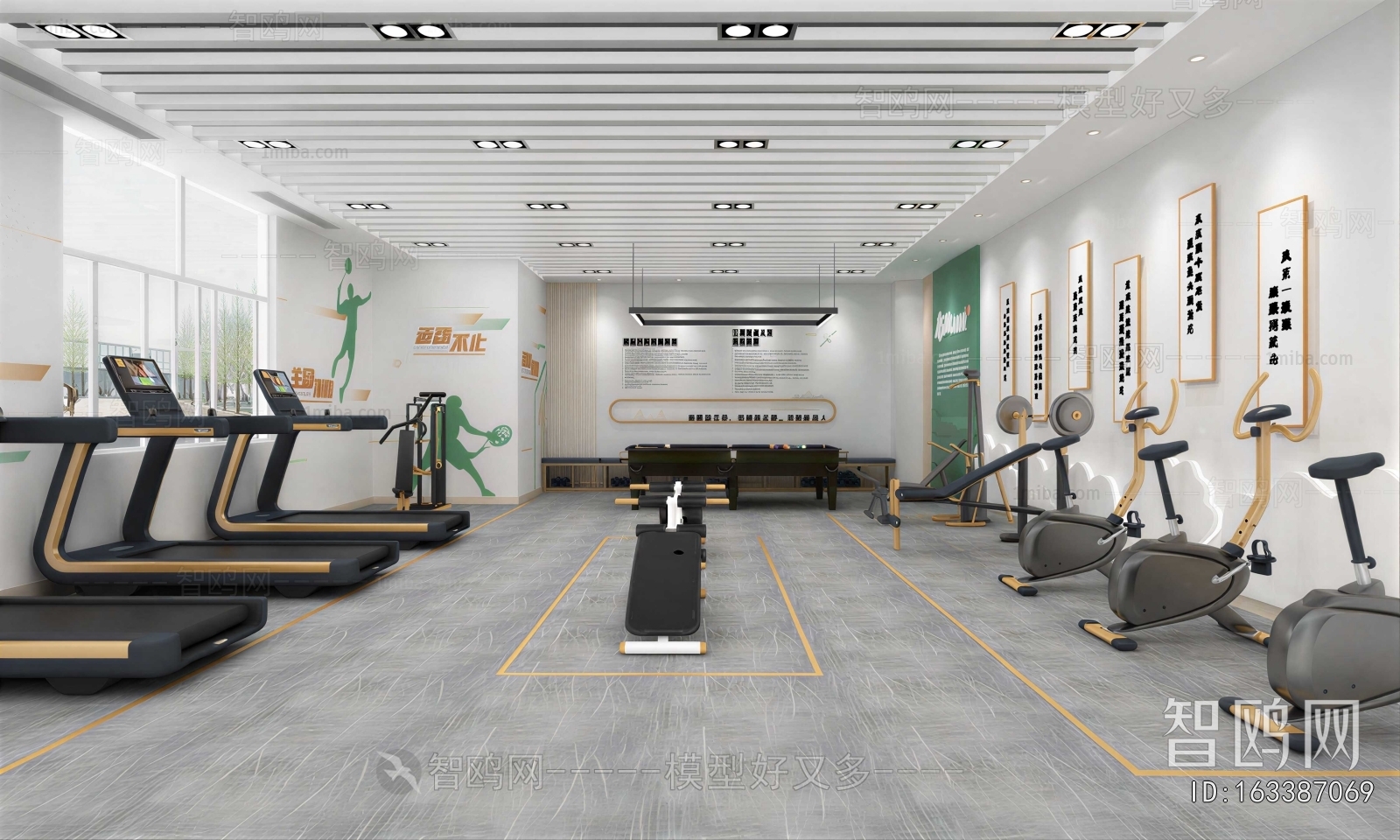 Modern Gym