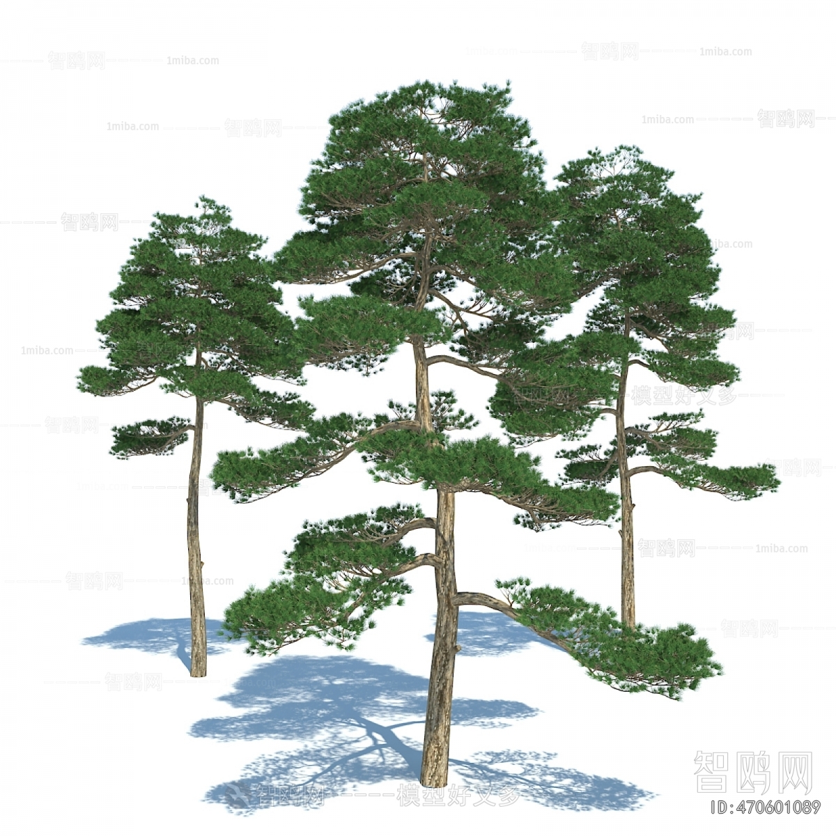 Modern Tree