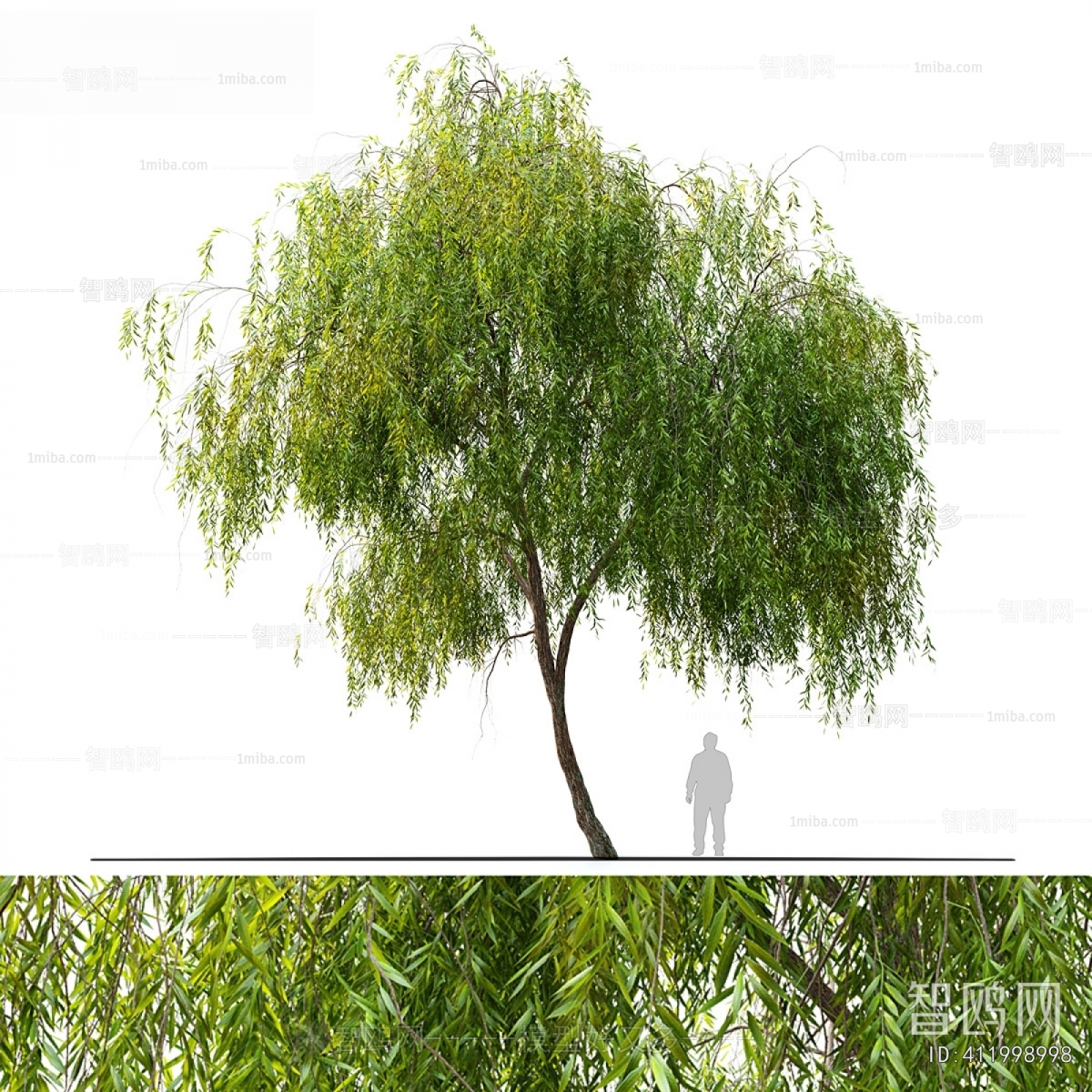 Modern Tree
