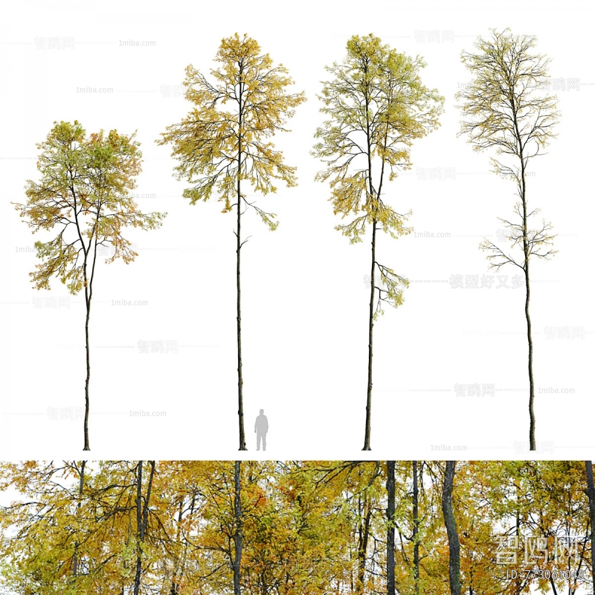 Modern Tree