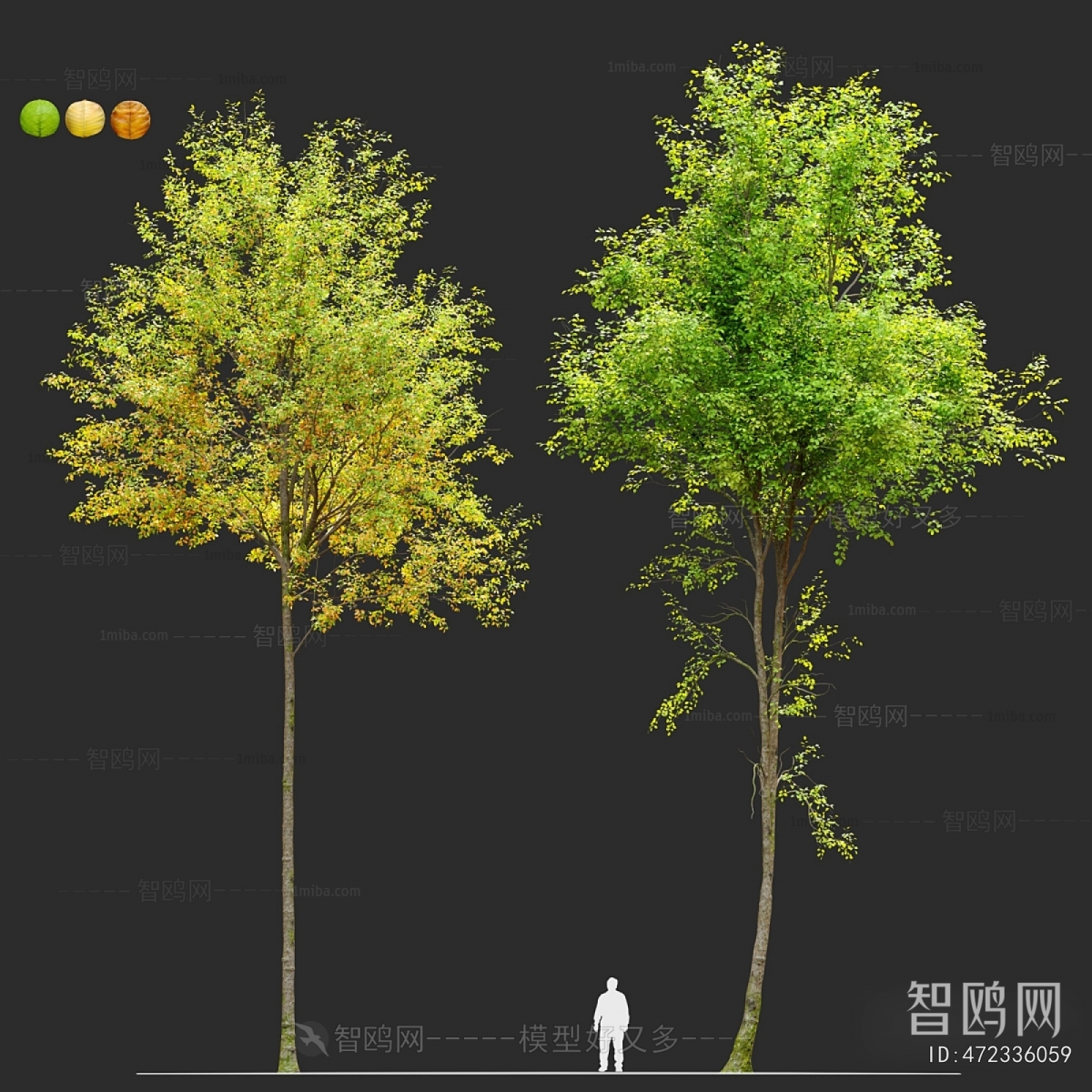 Modern Tree