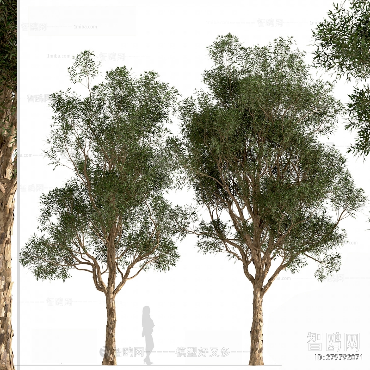 Modern Tree