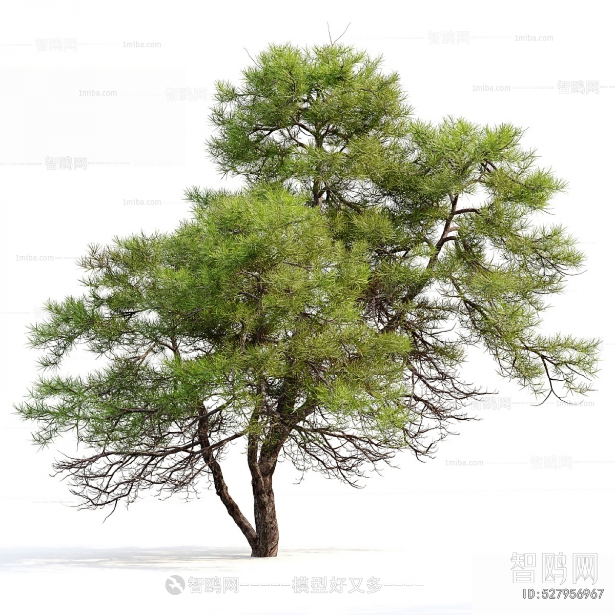Modern Tree