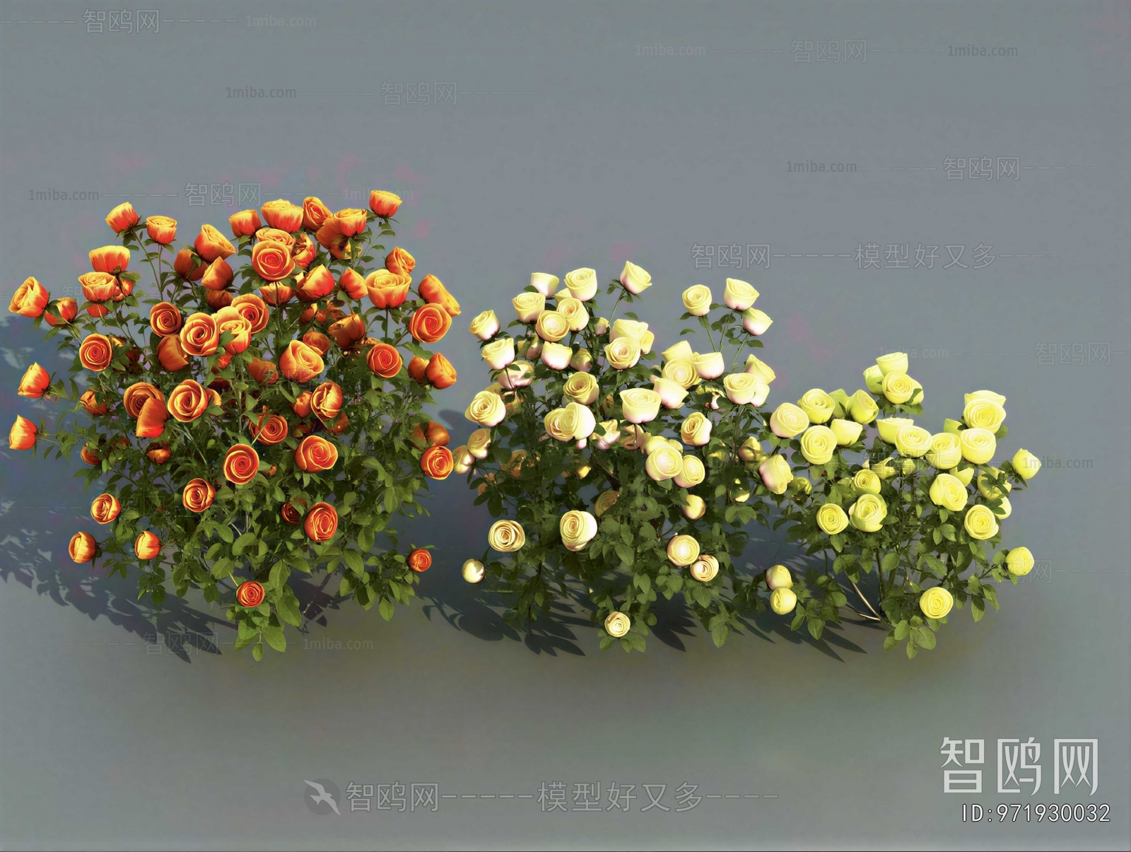 Modern Flowers And Grass