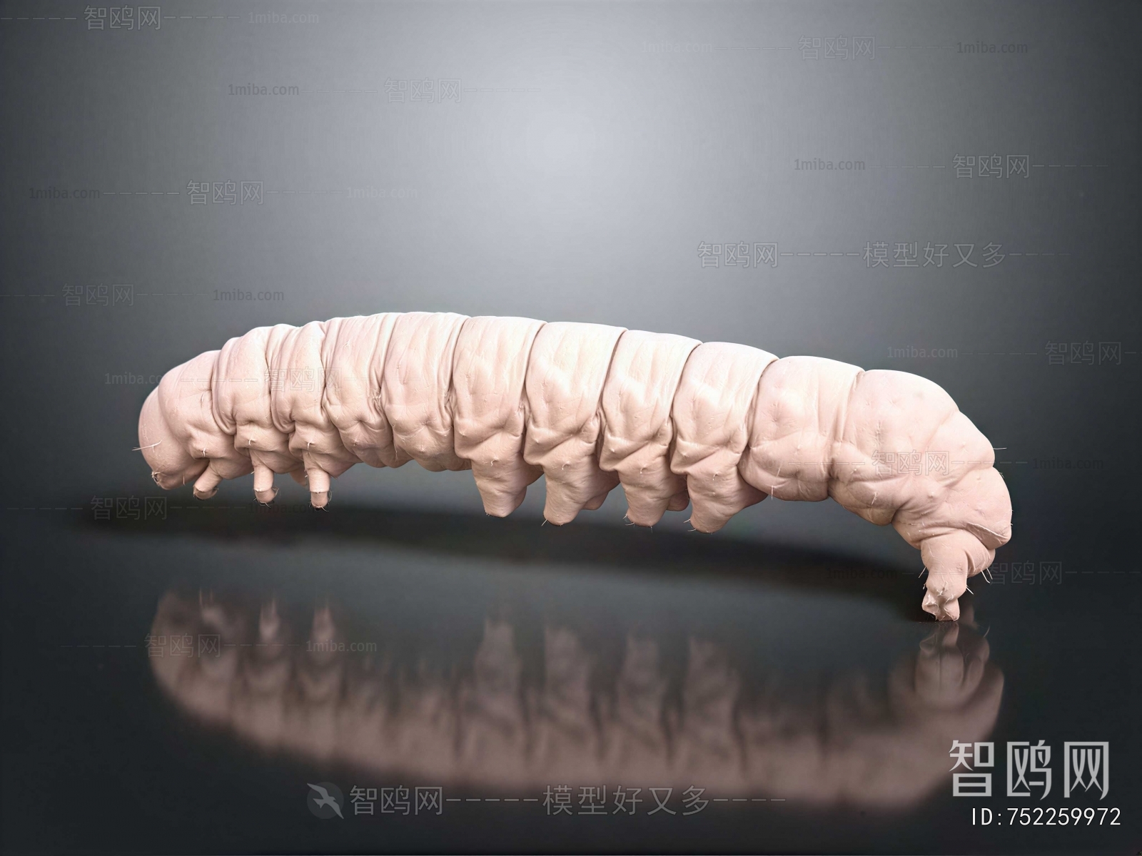 Modern Other Animals