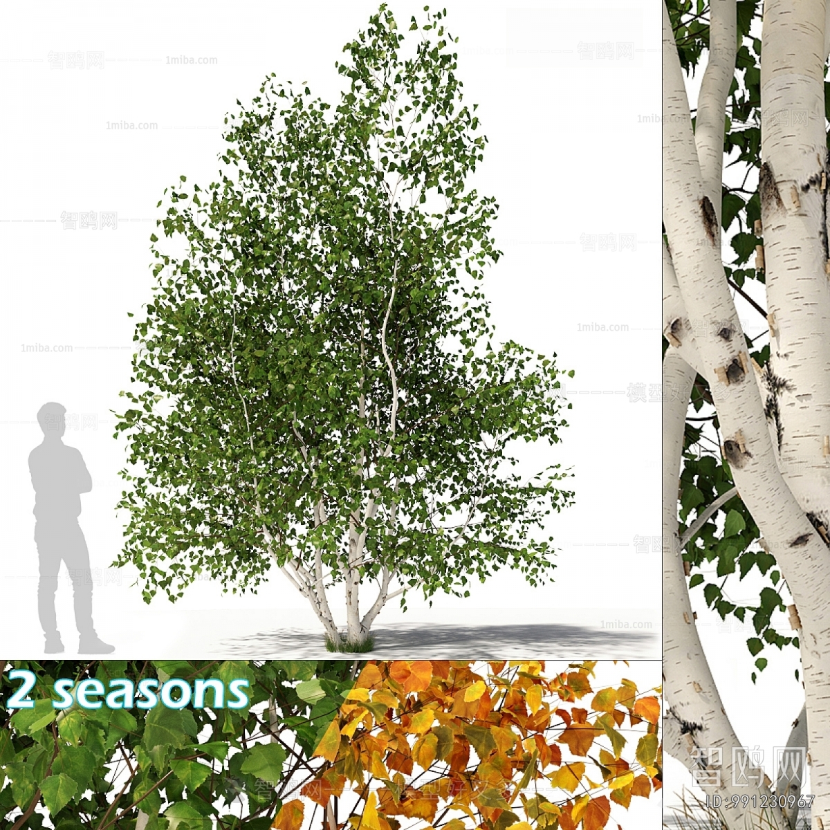 Modern Tree