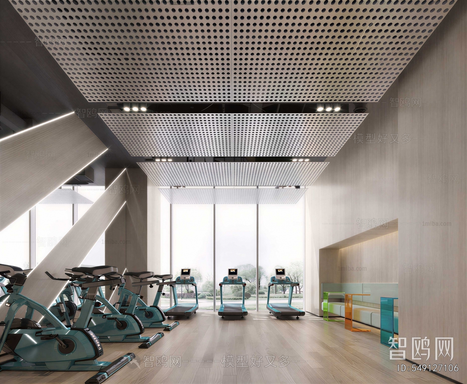Modern Gym