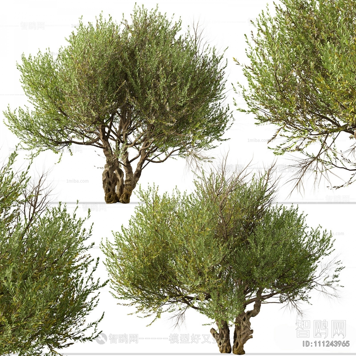 Modern Tree