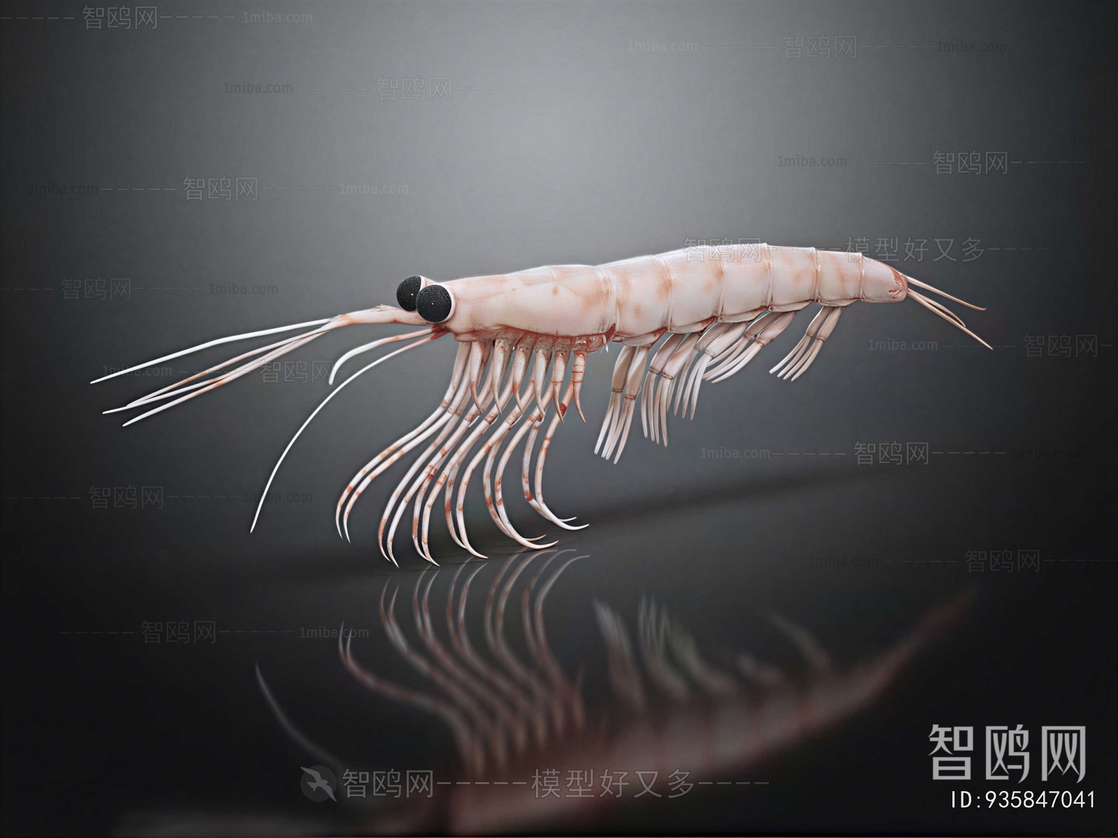 Modern Aquatic Animals