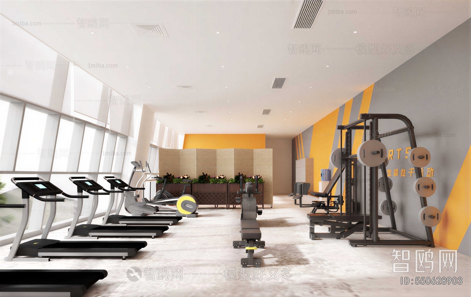 Modern Gym