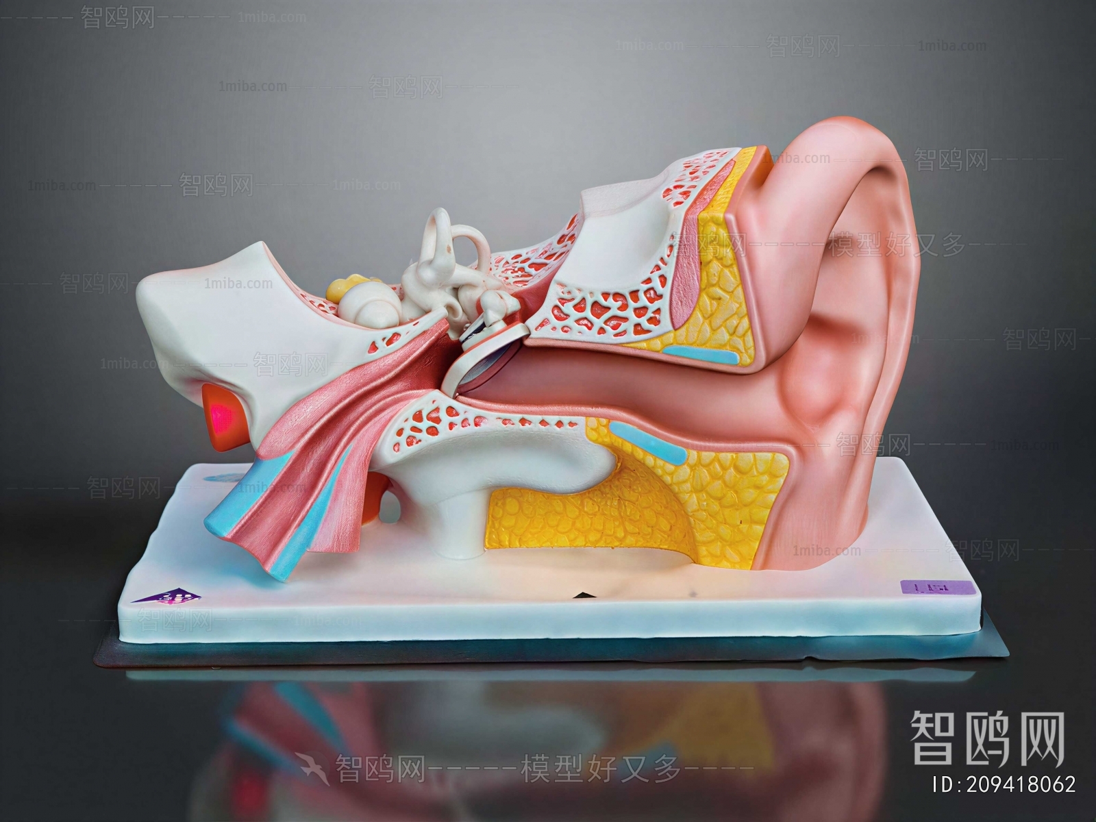 Modern Medical Equipment