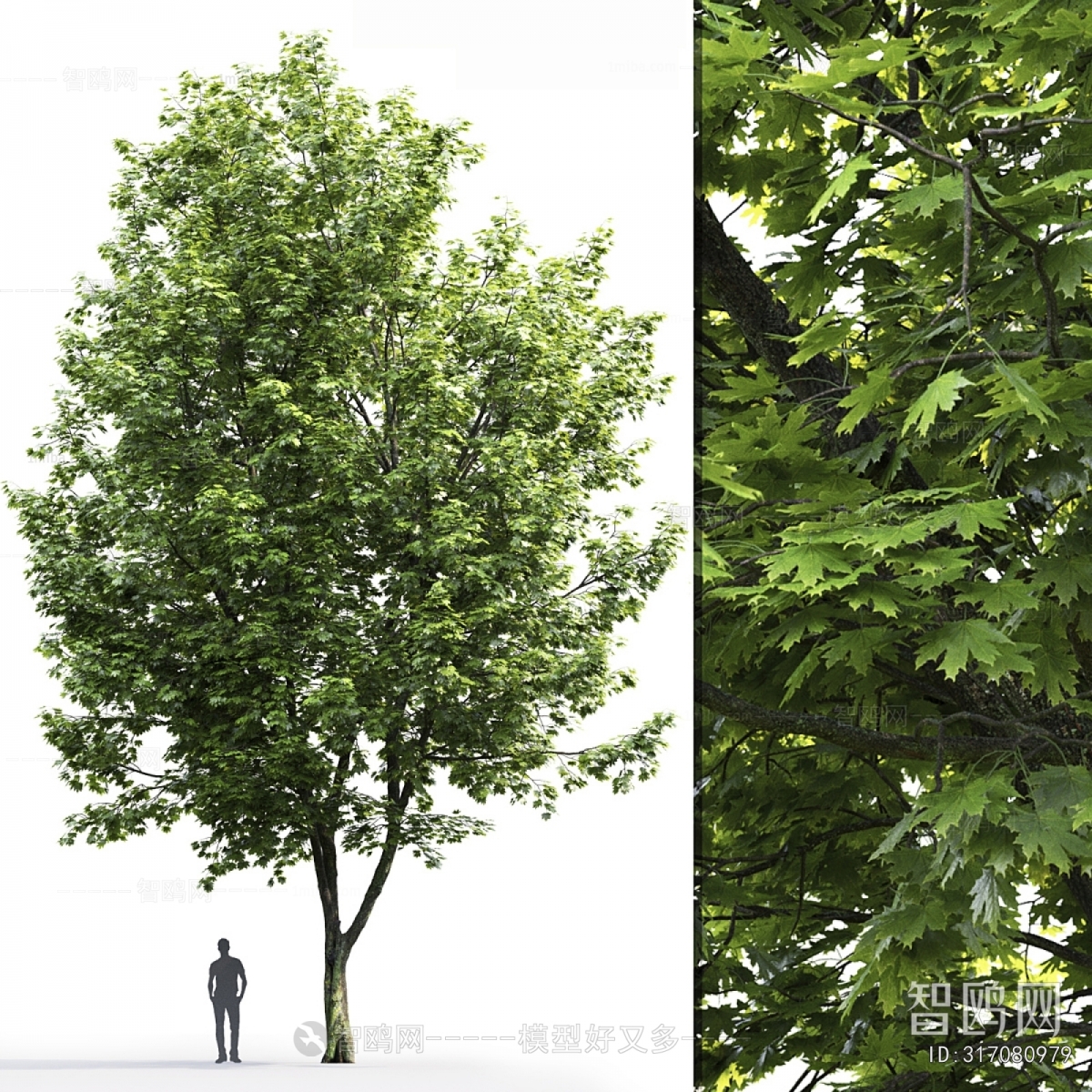 Modern Tree