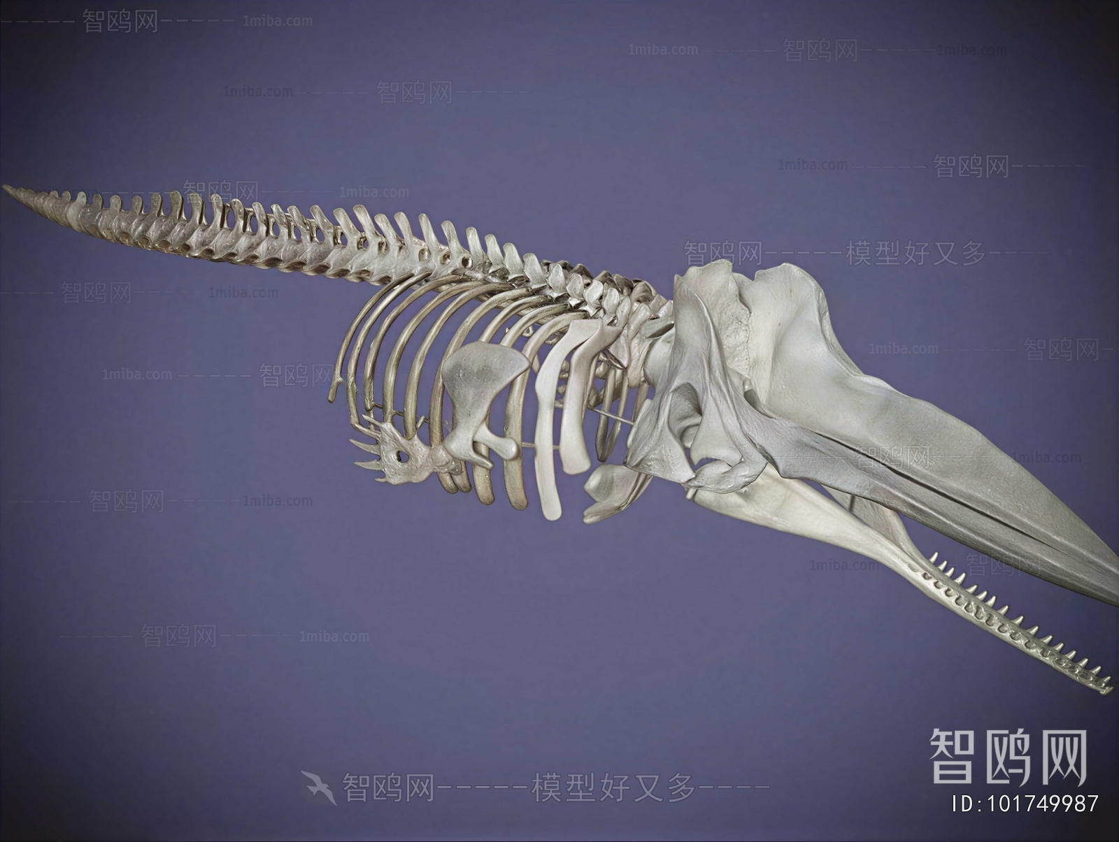 Modern Medical Equipment