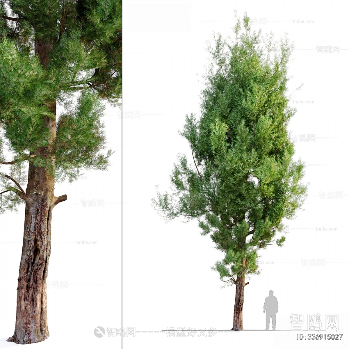 Modern Tree