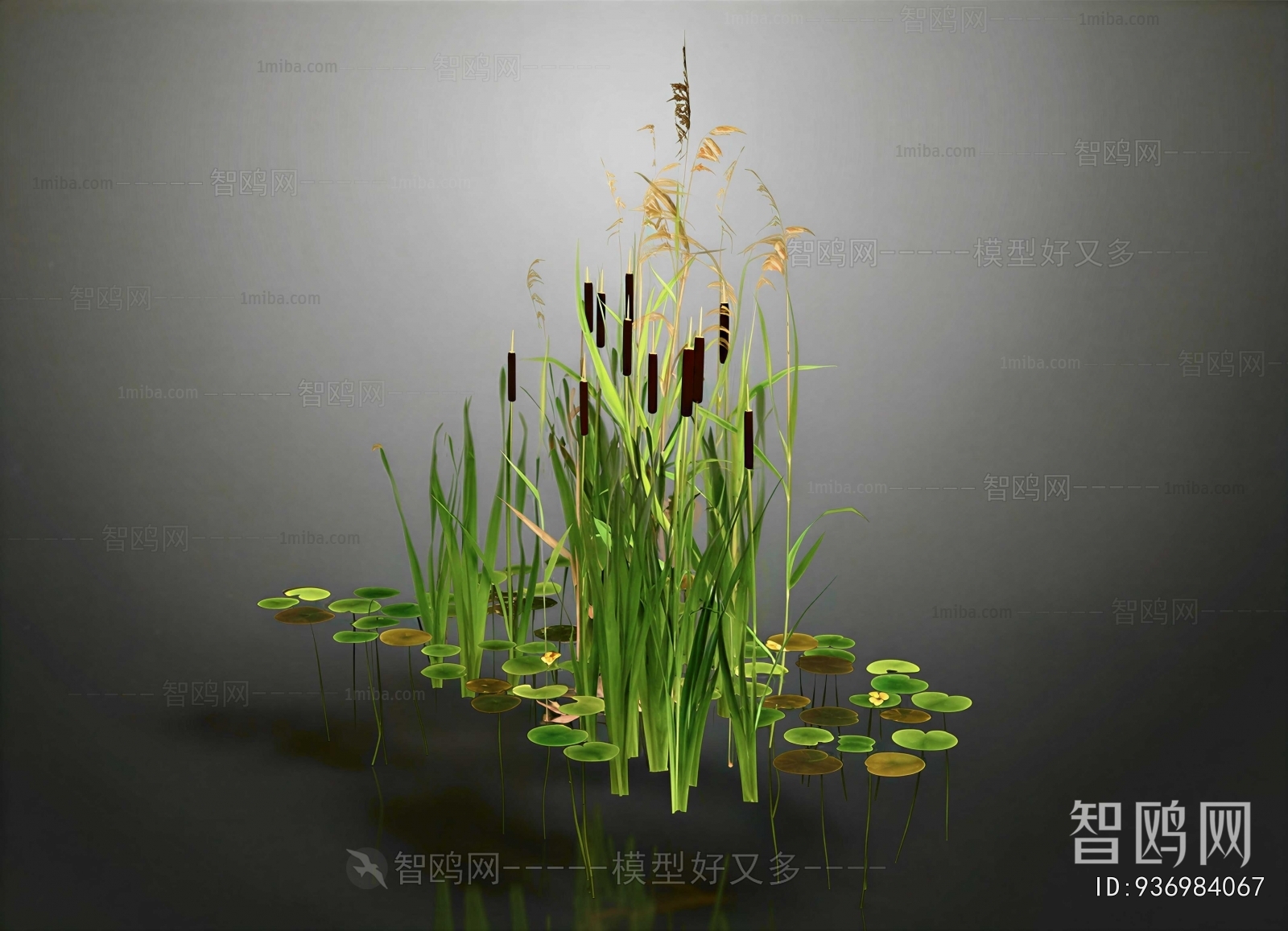 Modern Flowers And Grass