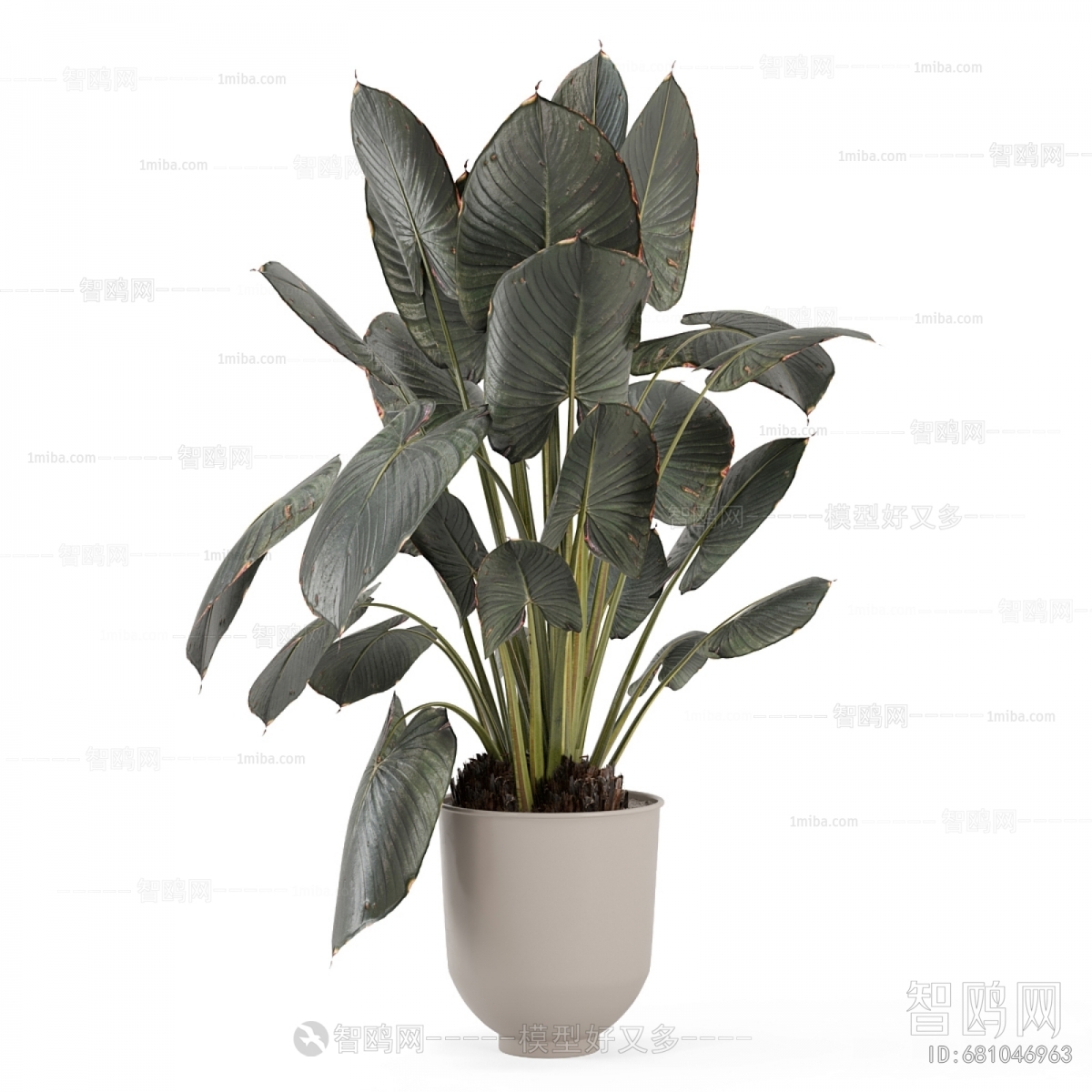 Modern Ground Green Plant Potted Plants