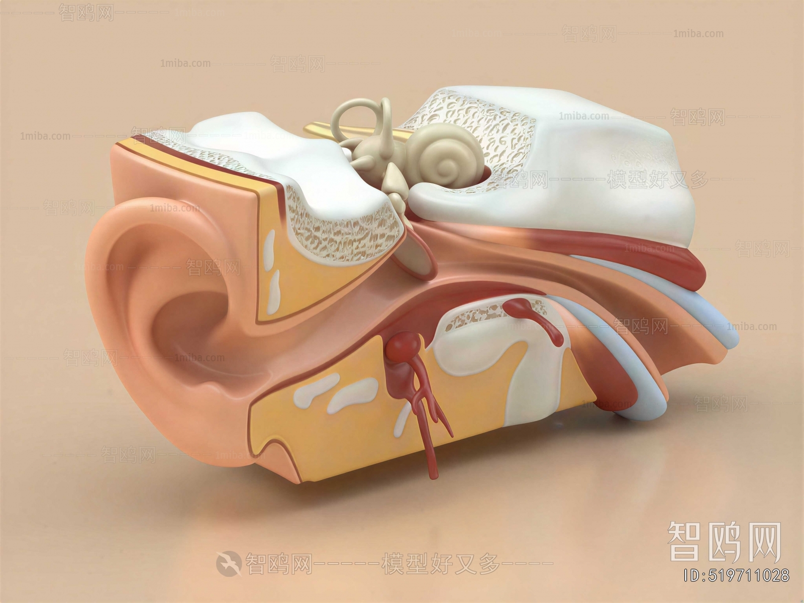 Modern Medical Equipment