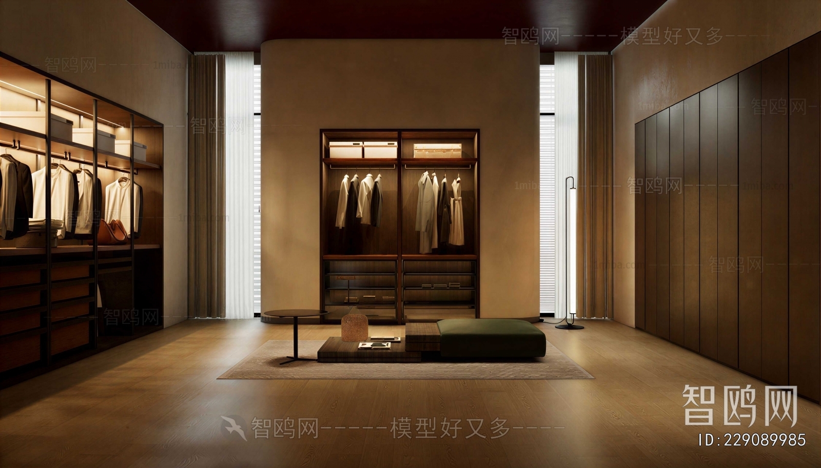 Modern Clothes Storage Area