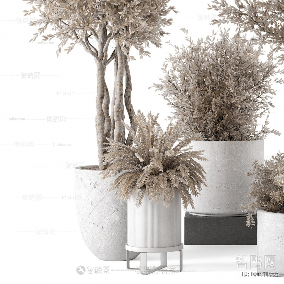 Modern Ground Green Plant Potted Plants