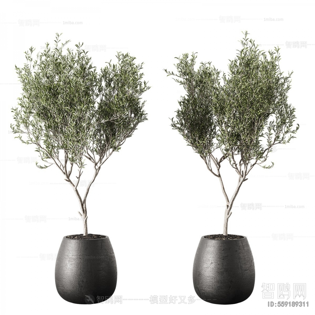Modern Ground Green Plant Potted Plants