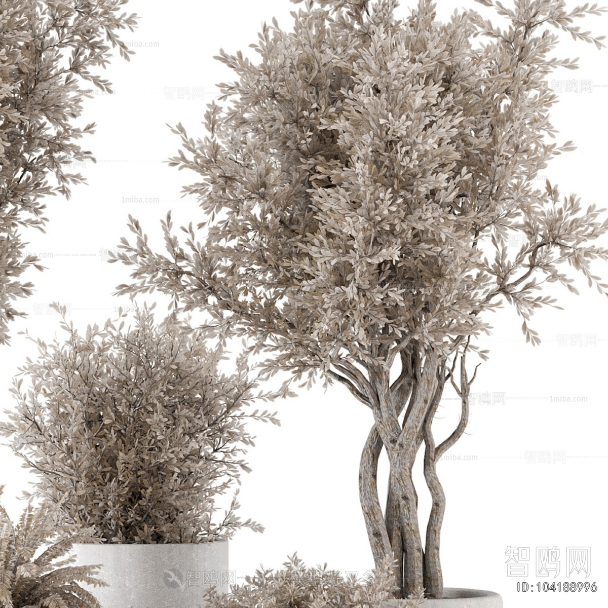 Modern Ground Green Plant Potted Plants