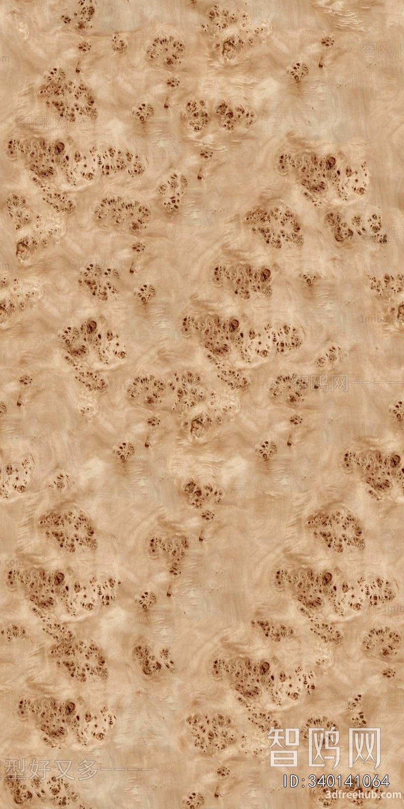 Wood Texture