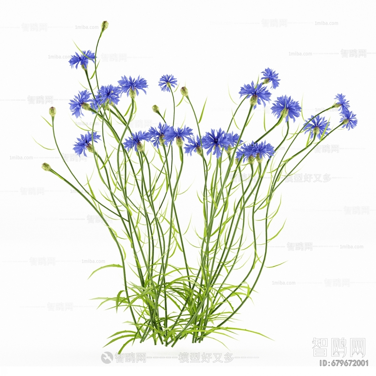 Modern Flowers And Grass