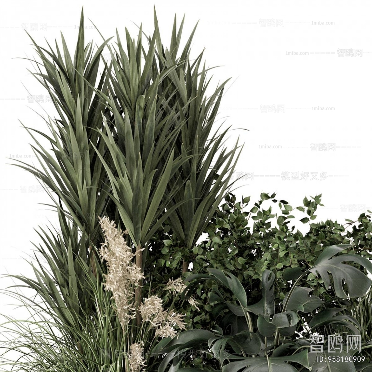 Modern Flowers And Grass