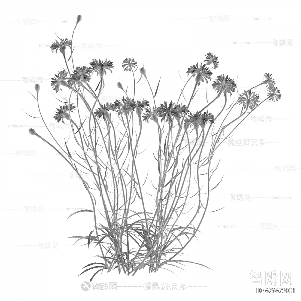 Modern Flowers And Grass