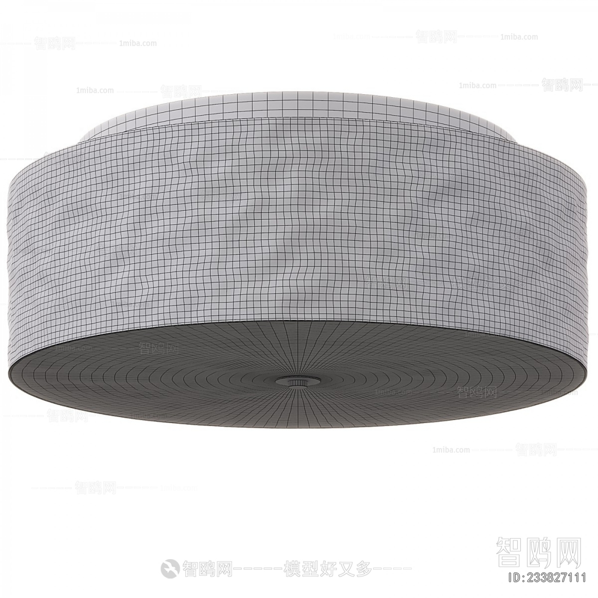 Modern Ceiling Ceiling Lamp