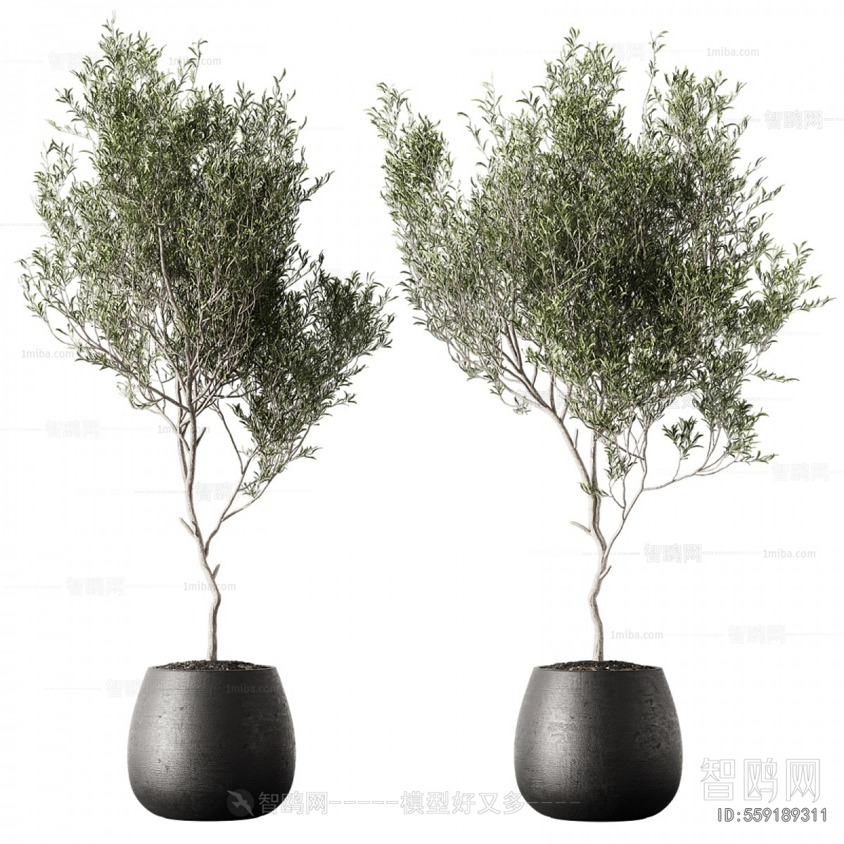 Modern Ground Green Plant Potted Plants