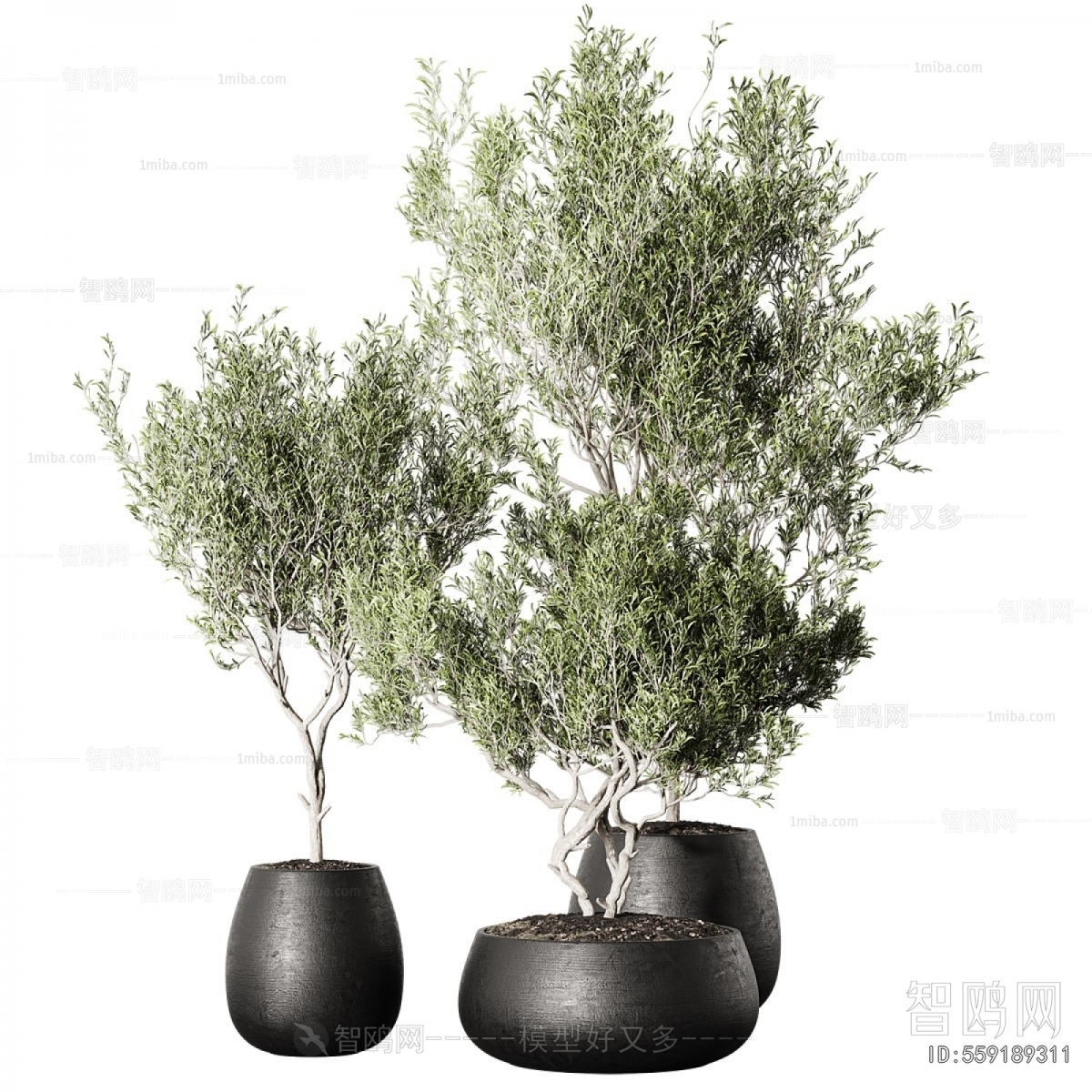 Modern Ground Green Plant Potted Plants