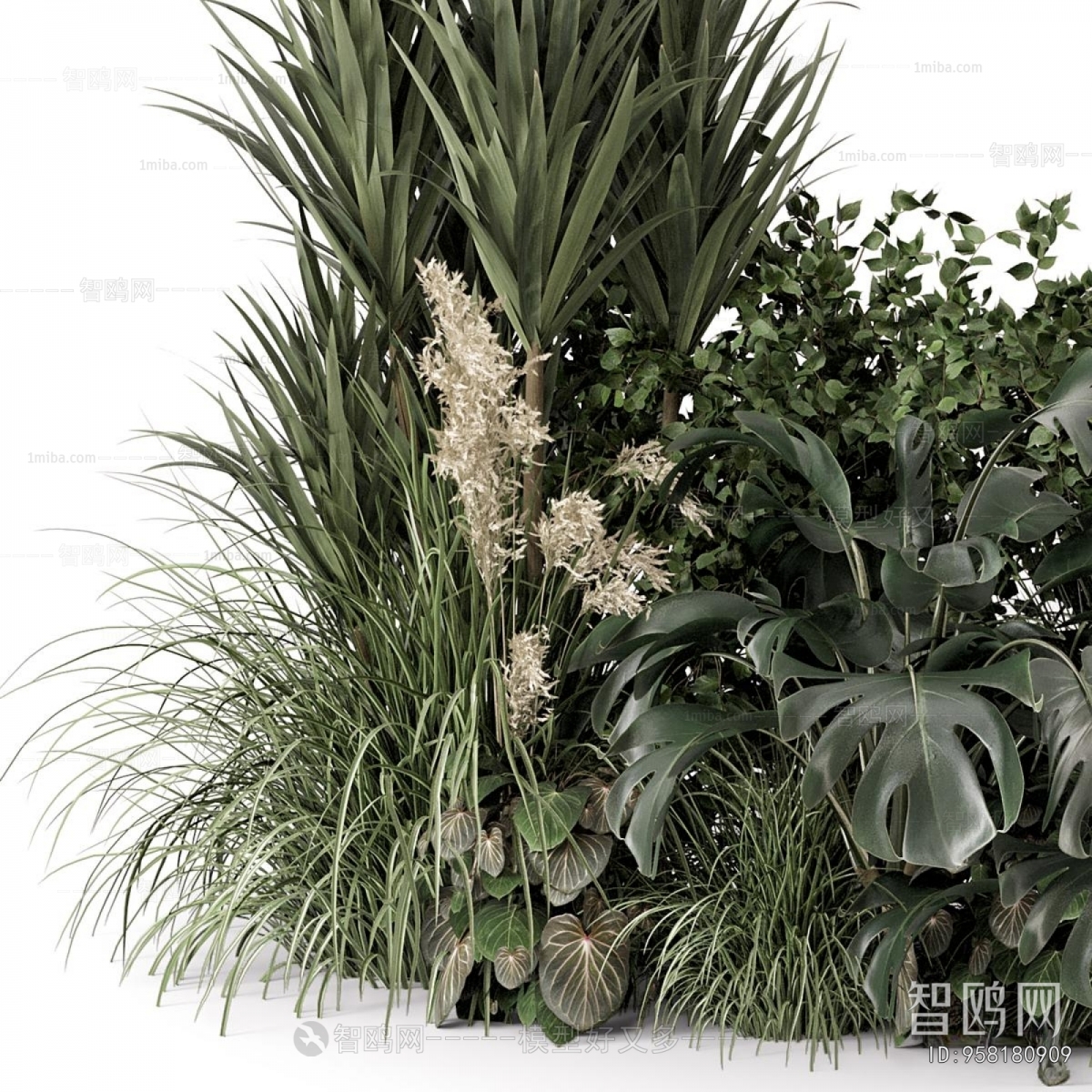 Modern Flowers And Grass