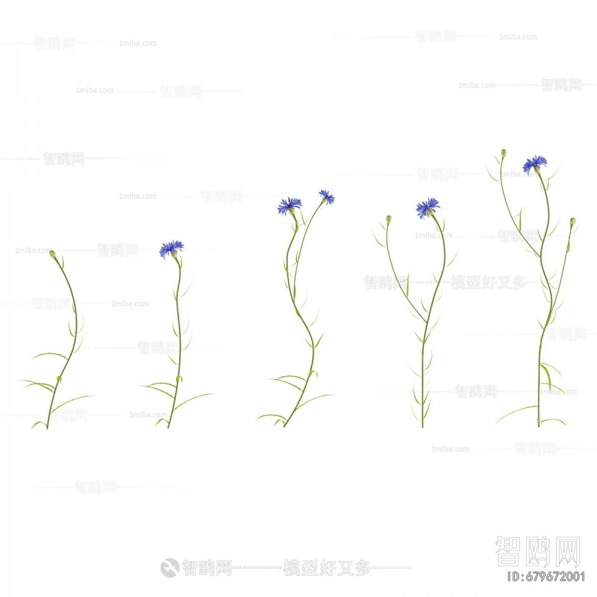 Modern Flowers And Grass