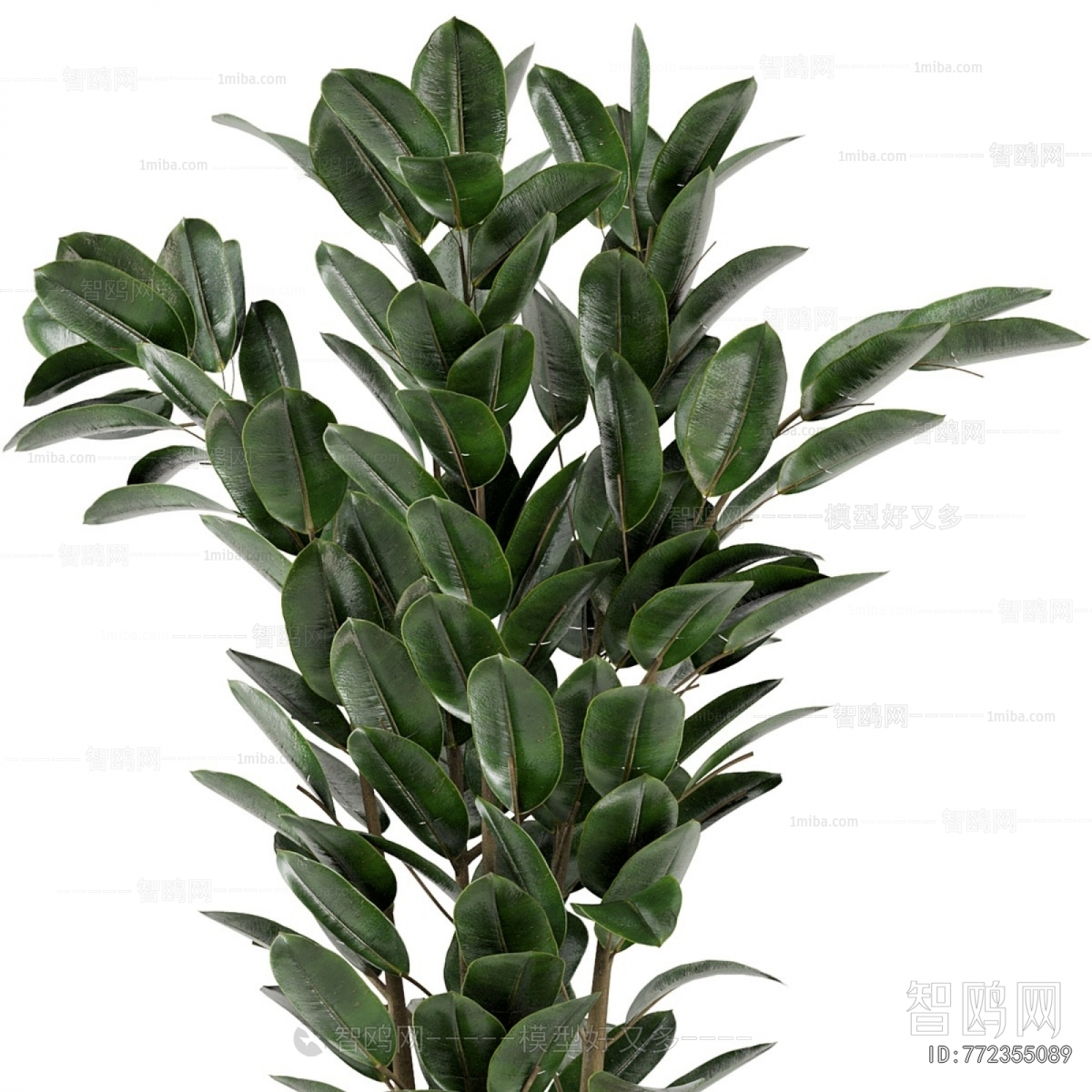 Modern Ground Green Plant Potted Plants
