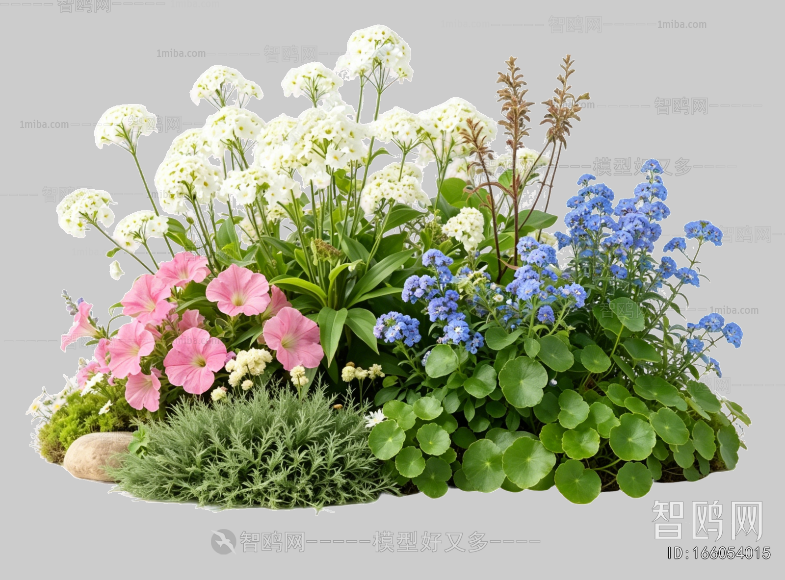 Plant Leaves