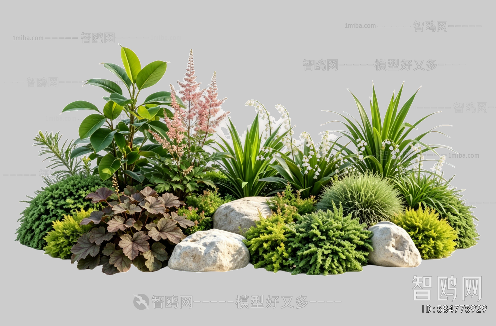 Plant Leaves