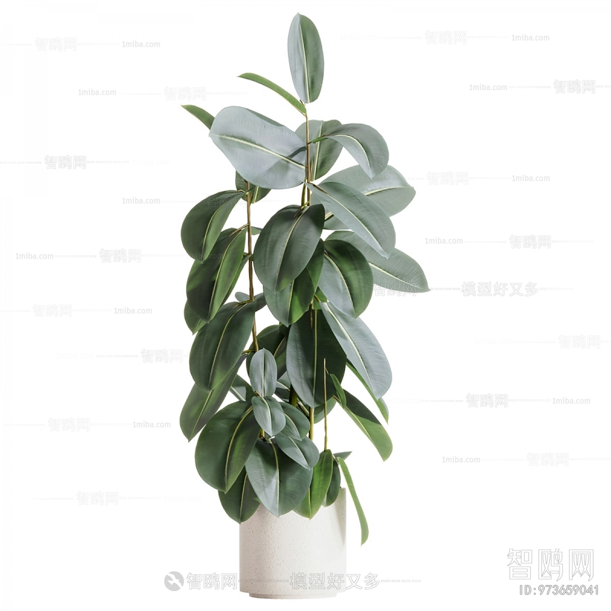 Modern Ground Green Plant Potted Plants