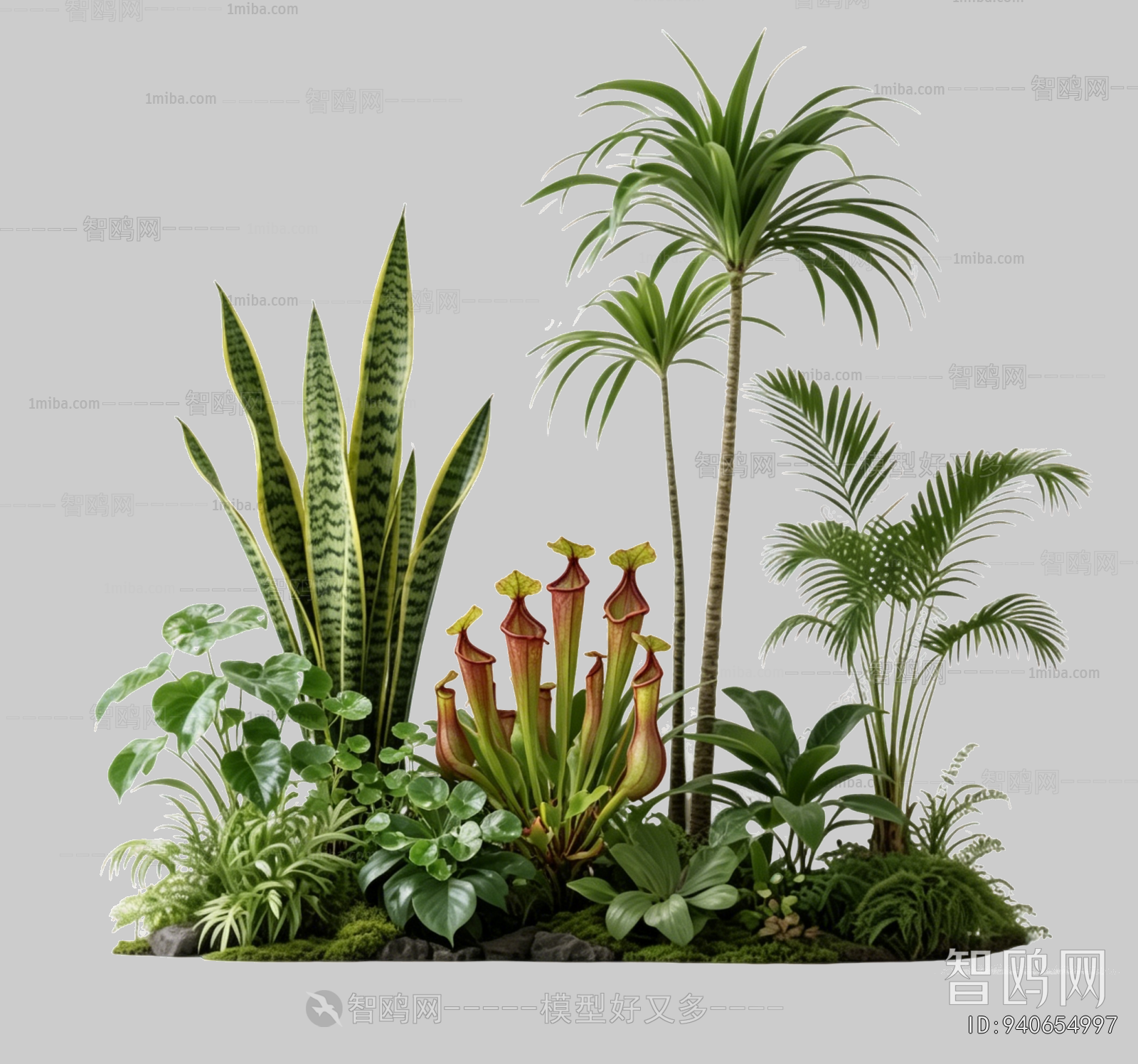 Plant Leaves